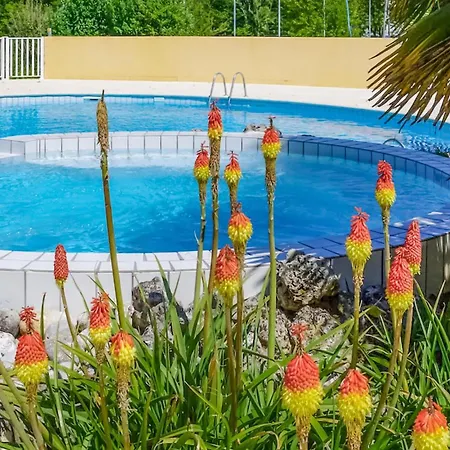 Pet Friendly In * Saint-Savinien