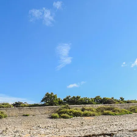 Pet Friendly In Saint-Savinien