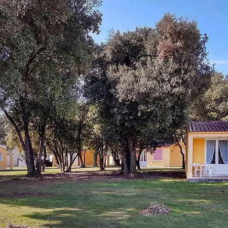 בית נופש Pet Friendly In *