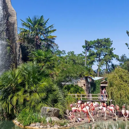 בית נופש Pet Friendly In Saint-Savinien