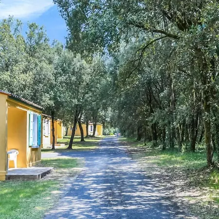 Pet Friendly In Saint-Savinien