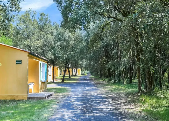 Pet Friendly In Saint-Savinien