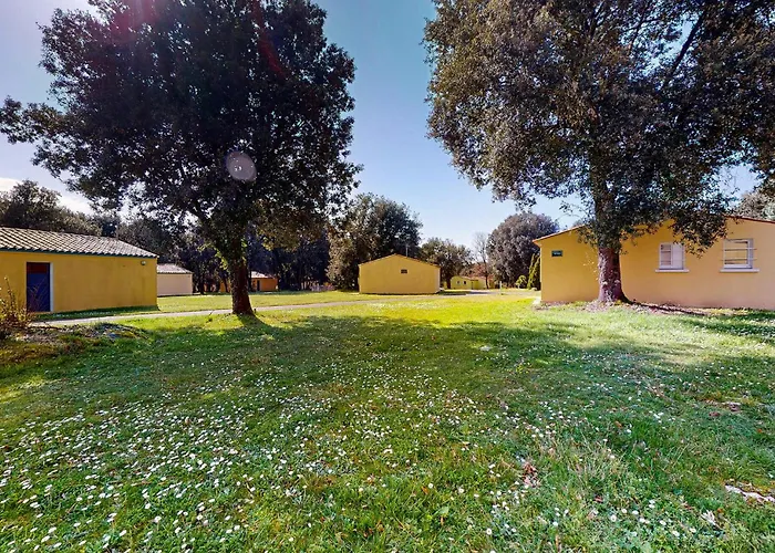 Pet Friendly In 펜션 Saint-Savinien